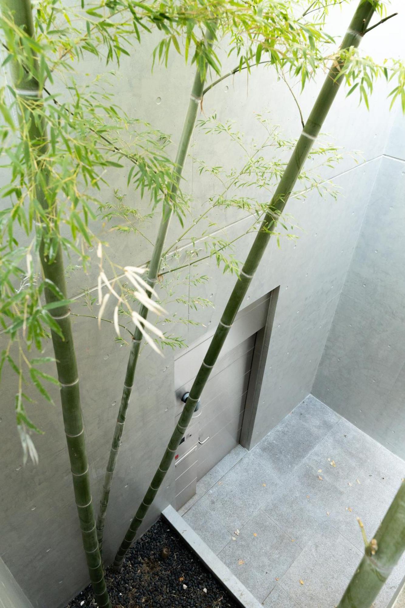 Azabu Modern House The Tokyo Tower Can Be Seen From The Villa 500M2 Exterior photo